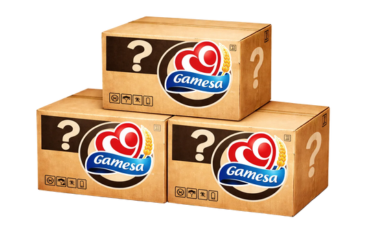 GAMESA 10 PC MYSTERY BOX